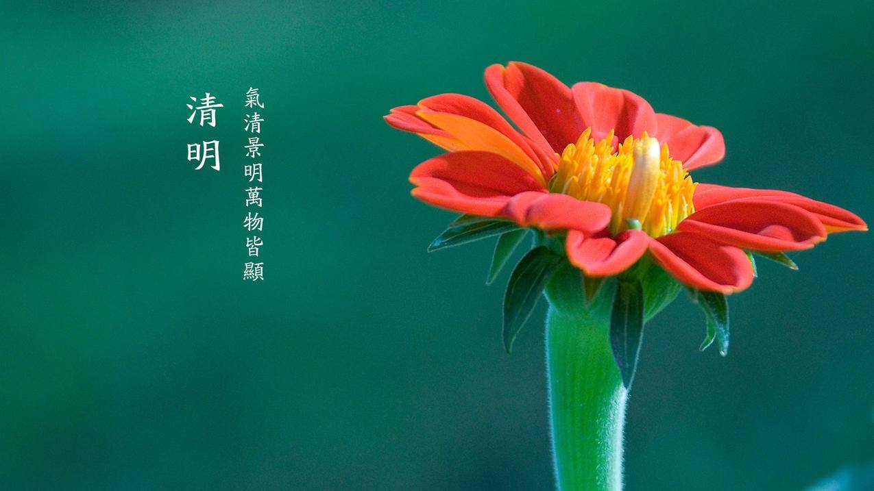 KS业务24小时最低价-快手自助业务平台-快手免费涨1w粉丝